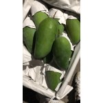产地直发大青芒批发  量大详谈 保质保量 接电商一件代发