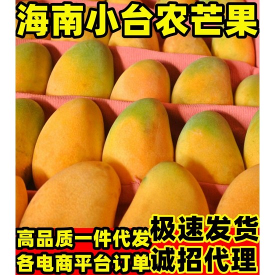 【招代理】海南小台芒芒果9斤装新鲜采摘芒果一件代发