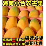 【招代理】海南小台芒芒果9斤装新鲜采摘芒果一件代发