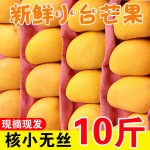 小台农芒果新鲜应季现摘海南水果超甜批发非凯特贵妃金煌