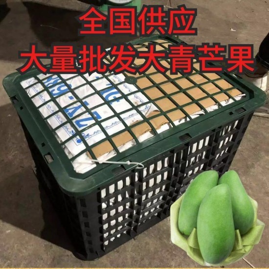 大青芒果全国发货批发整件60斤发货运费自理承接平台一件代发