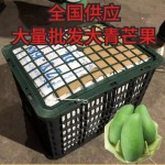 大青芒果全国发货批发整件60斤发货运费自理承接平台一件代发