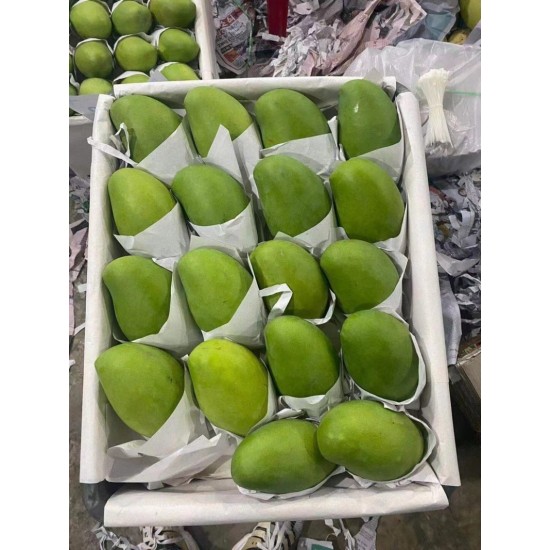 新品玉芒芒果一件代发全国供应批发