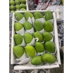 新品玉芒芒果一件代发全国供应批发