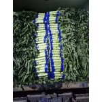 临沂市红叶莴笋 无空心青皮绿肉 产地直销 质量保证 诚信合作