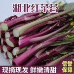 新鲜红菜苔