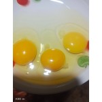土鸡蛋 山林散养土鸡蛋初生蛋，绿壳粉壳蛋，鸡场直销质量保证