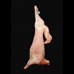 羊肉白条羊盐池滩羊肉羊肉