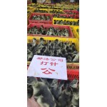 马岗鹅苗  马岗鹅…厂家直销～可分公母