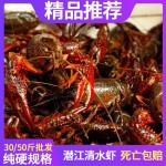 优质小龙虾湖北潜江小龙虾清水虾小红中红大青鲜活包邮干净