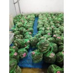 湖北洪湖大闸蟹原产地直供，损耗包赔，支持混批