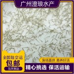草鱼苗水花鲈鱼水花鲤鱼苗鲫鱼苗鲮鱼苗花鲢苗白鲢苗罗非青鱼水花