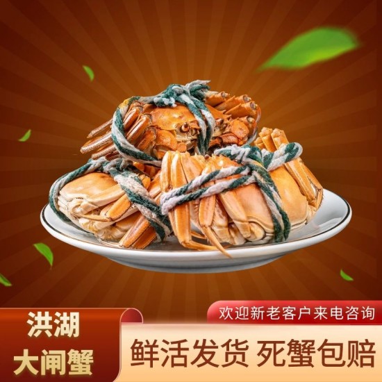 洪湖市精品清水大闸蟹一手货源，死蟹包赔可混批