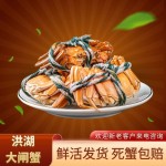 洪湖市精品清水大闸蟹一手货源，死蟹包赔可混批