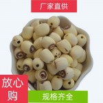 湘潭莲子野生莲精选过筛磨白莲，厂家直供量大从优