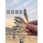 公鱼干  淡晒小鱼干白凡鱼海燕鱼 量大从优 跑江湖摆地摊热卖