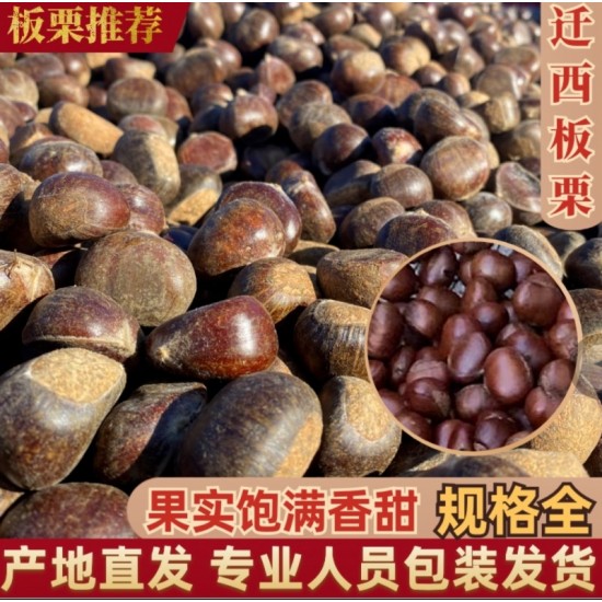 【店庆大促销】2022年迁西板栗 规格齐全 软糯香甜
