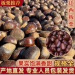 【店庆大促销】2022年迁西板栗 规格齐全 软糯香甜