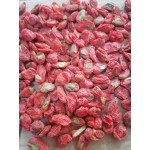 特大果2022 红枸杞头茬枸杞柴达木无熏染苟杞子500g