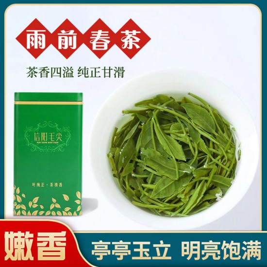 毛尖茶信阳毛尖浓香型绿茶2022新茶明前头采手工炒青罐装茶叶