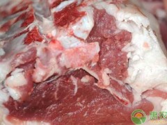 今日羊肉价格多少钱一斤？近期羊肉价格上涨因素分析