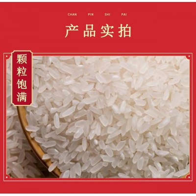 东北长粒香蟹稻米